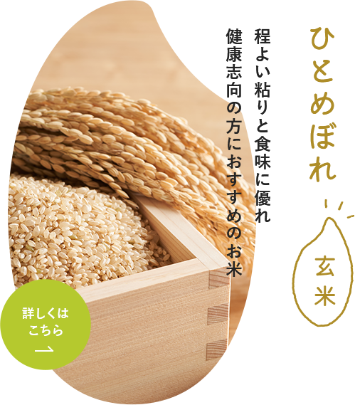 ひとめぼれ玄米