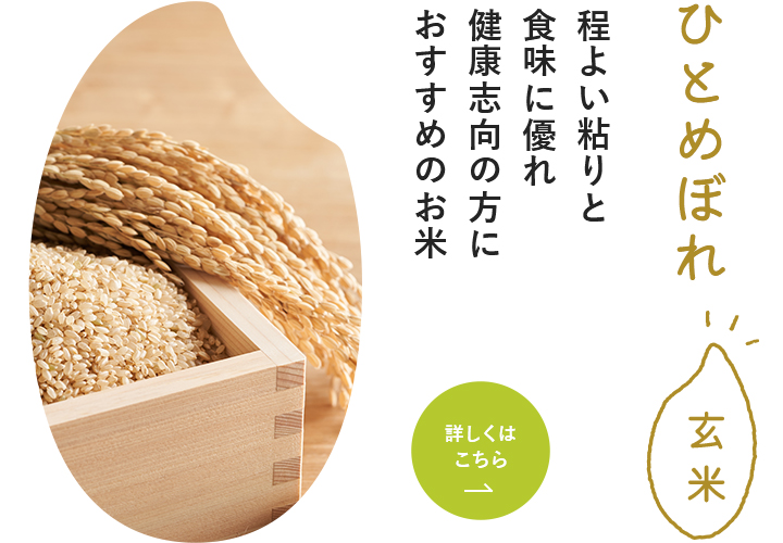 ひとめぼれ玄米