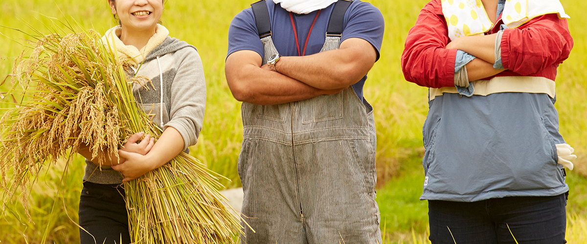 日々試行錯誤しながらお米を生産